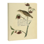 Bird Divinations: Dwarf Thrush (about: almanacofbirds.org) Canvas Print Gallery Image 6