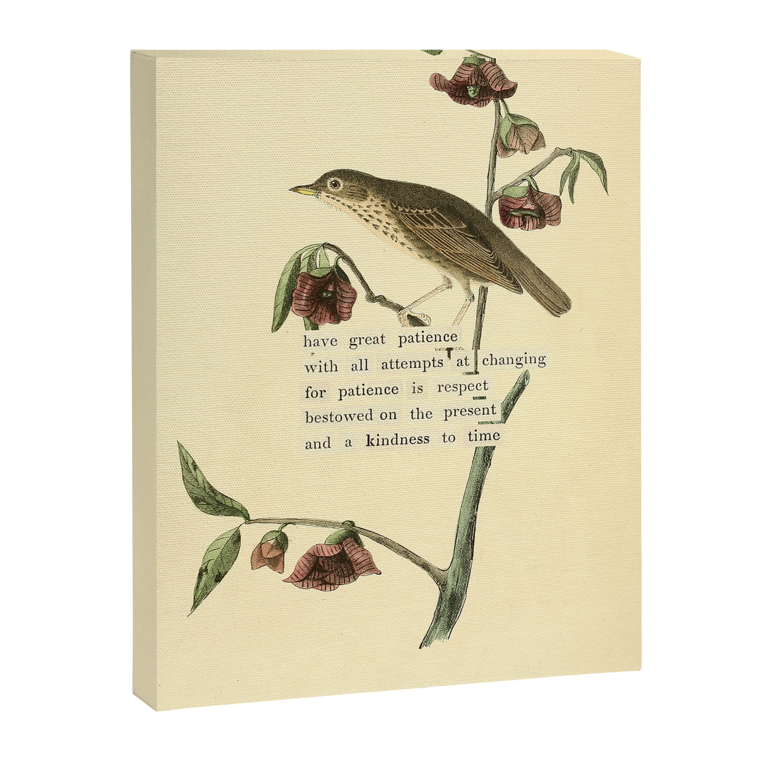 Bird Divinations: Dwarf Thrush (about: almanacofbirds.org) Canvas Print Gallery Image 6