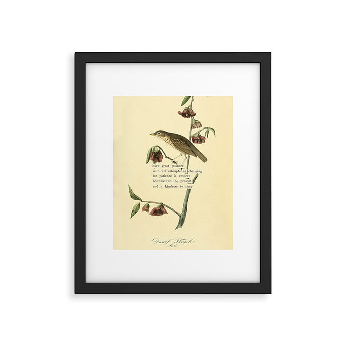 Bird Divinations: Dwarf Thrush (about: almanacofbirds.org) Framed Art Print Gallery Image 1