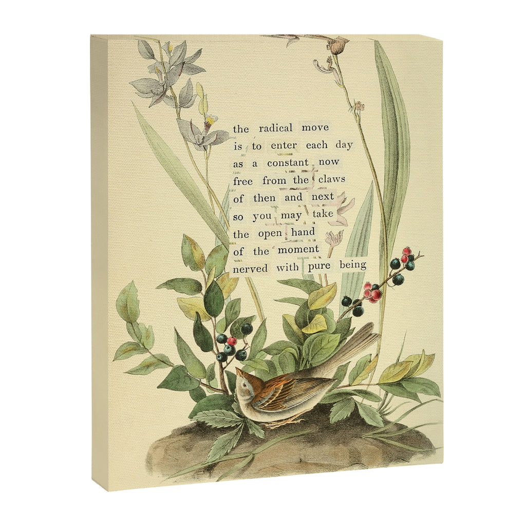 Bird Divinations: Field Bunting (about: almanacofbirds.org) Canvas Print Gallery Image 6