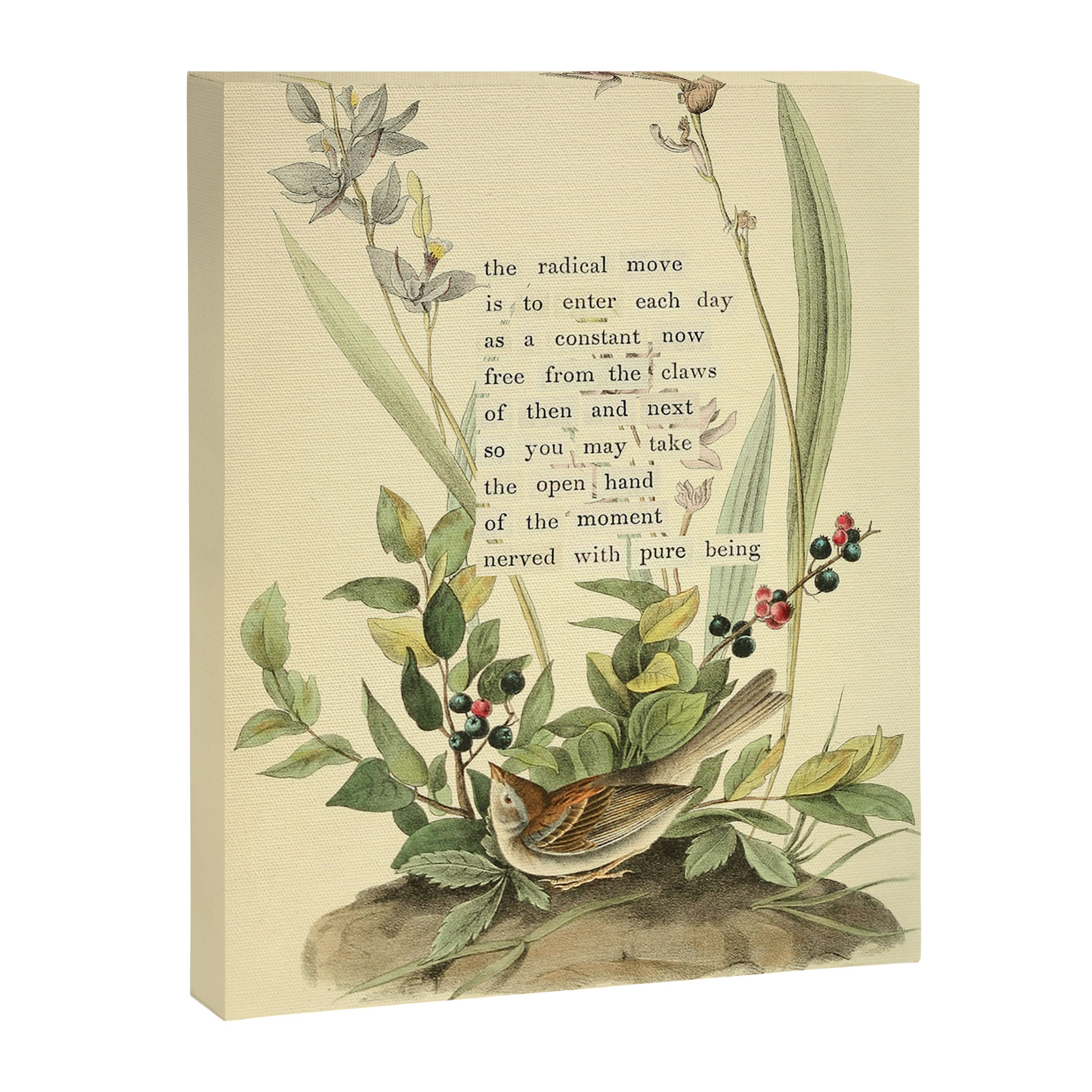 Bird Divinations: Field Bunting (about: almanacofbirds.org) Canvas Print Gallery Image 6