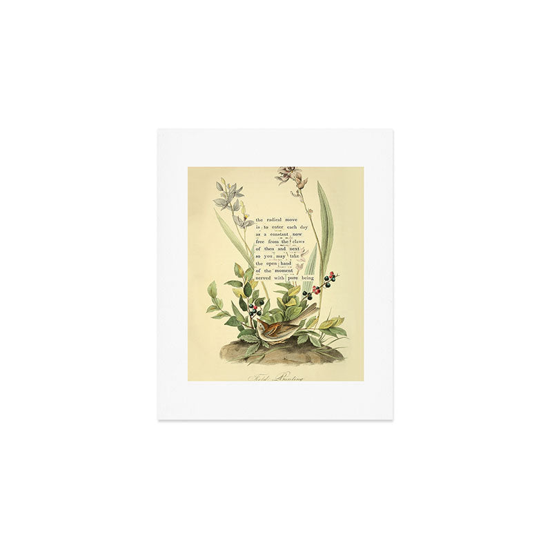 Bird Divinations: Field Bunting (about: almanacofbirds.org) Art Print Gallery Image 1
