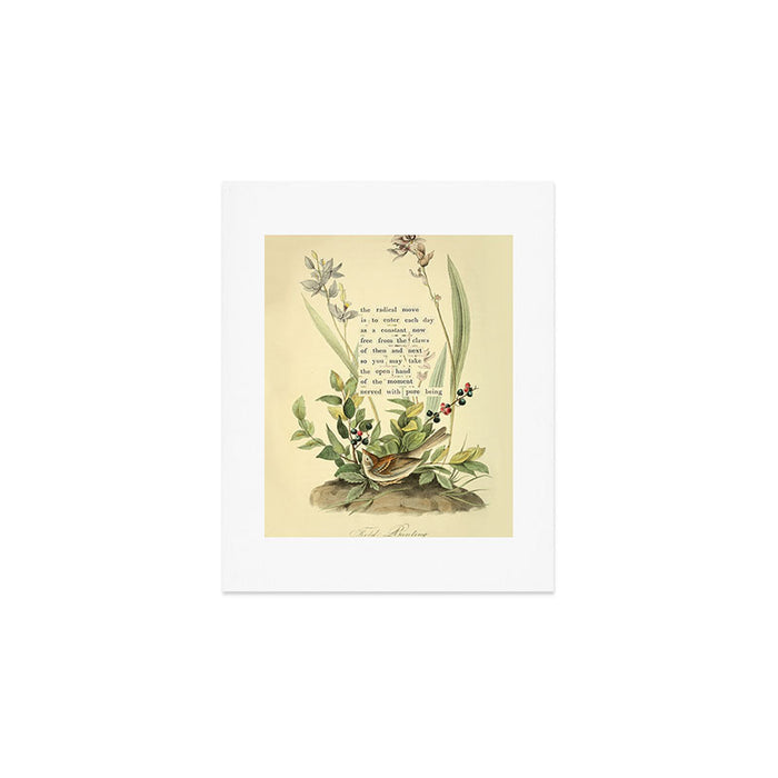 Bird Divinations: Field Bunting (about: almanacofbirds.org) Art Print Gallery Image 1