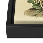 Bird Divinations: Field Bunting (about: almanacofbirds.org) Framed Canvas Print Gallery Image 3