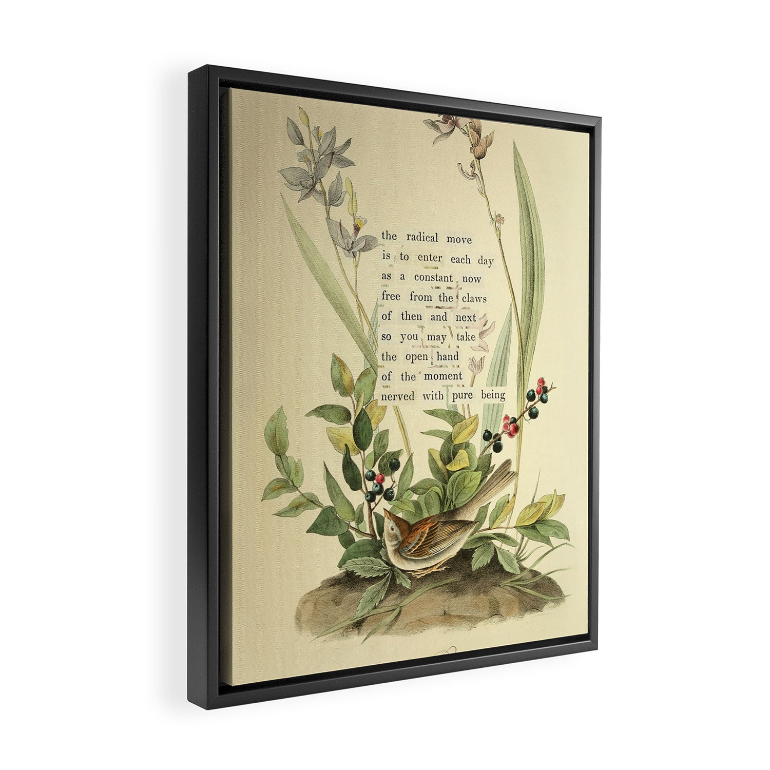 Bird Divinations: Field Bunting (about: almanacofbirds.org) Framed Canvas Print Gallery Image 2