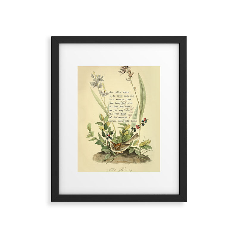 Bird Divinations: Field Bunting (about: almanacofbirds.org) Framed Art Print Gallery Image 5