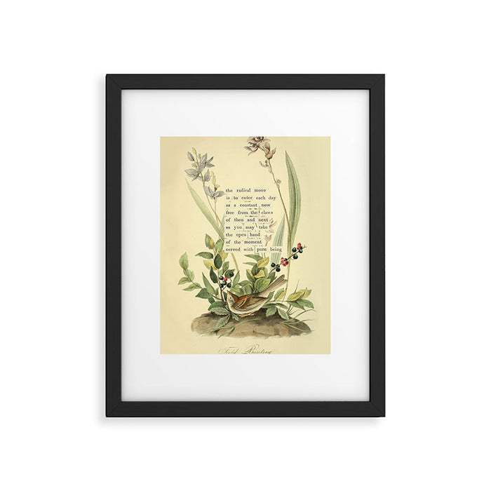 Bird Divinations: Field Bunting (about: almanacofbirds.org) Framed Art Print Gallery Image 1