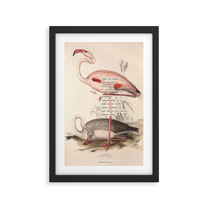 Bird Divinations: Flamingo (about: almanacofbirds.org) Framed Art Print Gallery Image 1