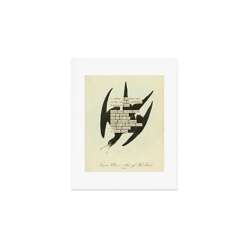 Bird Divinations: Frigate Pelican (about: almanacofbirds.org) Art Print Gallery Image 1
