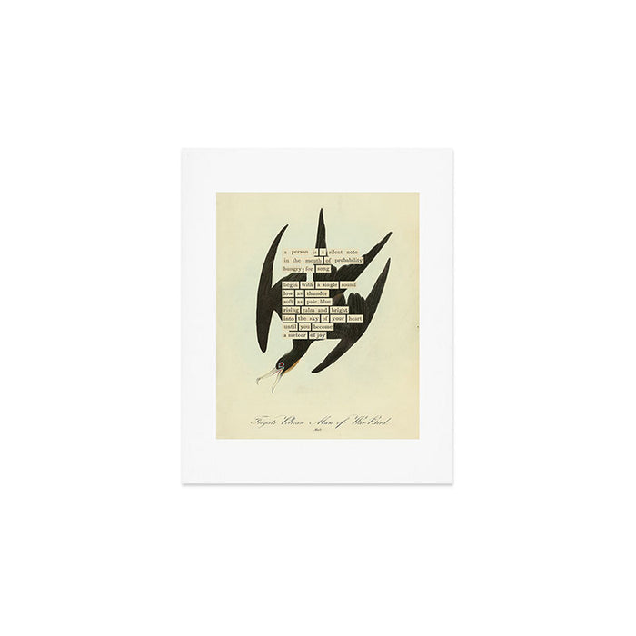 Bird Divinations: Frigate Pelican (about: almanacofbirds.org) Art Print Gallery Image 1