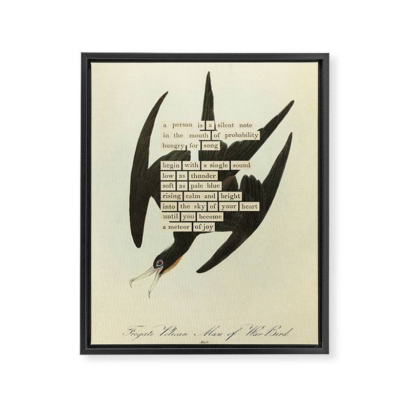 Bird Divinations: Frigate Pelican (about: almanacofbirds.org) Framed Canvas Print Gallery Image 6