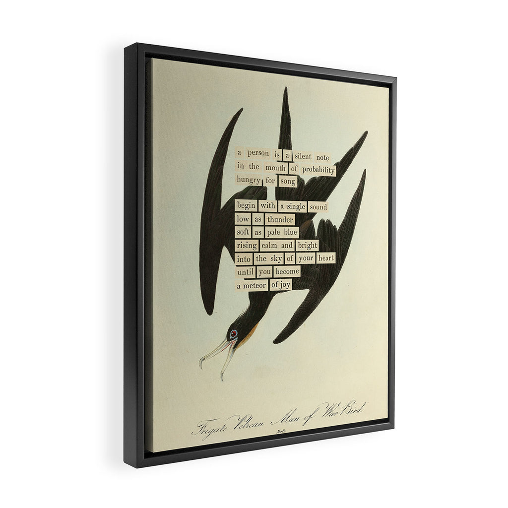 Bird Divinations: Frigate Pelican (about: almanacofbirds.org) Framed Canvas Print Gallery Image 2