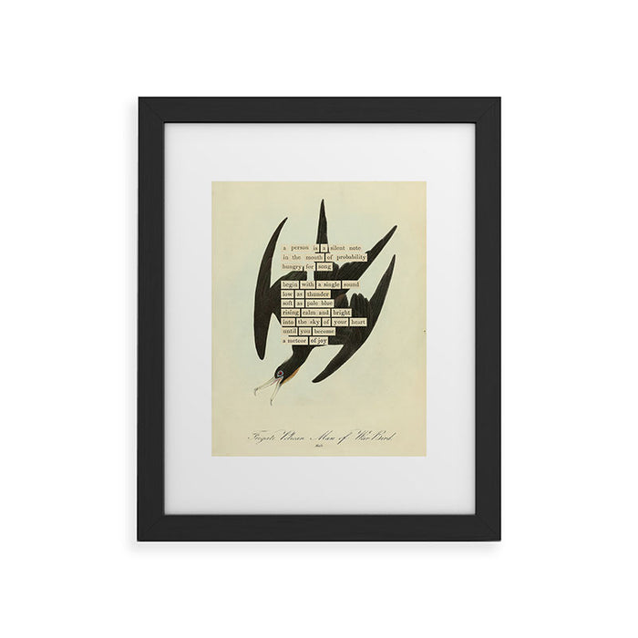 Bird Divinations: Frigate Pelican (about: almanacofbirds.org) Framed Art Print Gallery Image 1