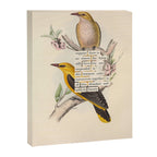 Bird Divinations: Golden Oriole (about: almanacofbirds.org) Canvas Print Gallery Image 6