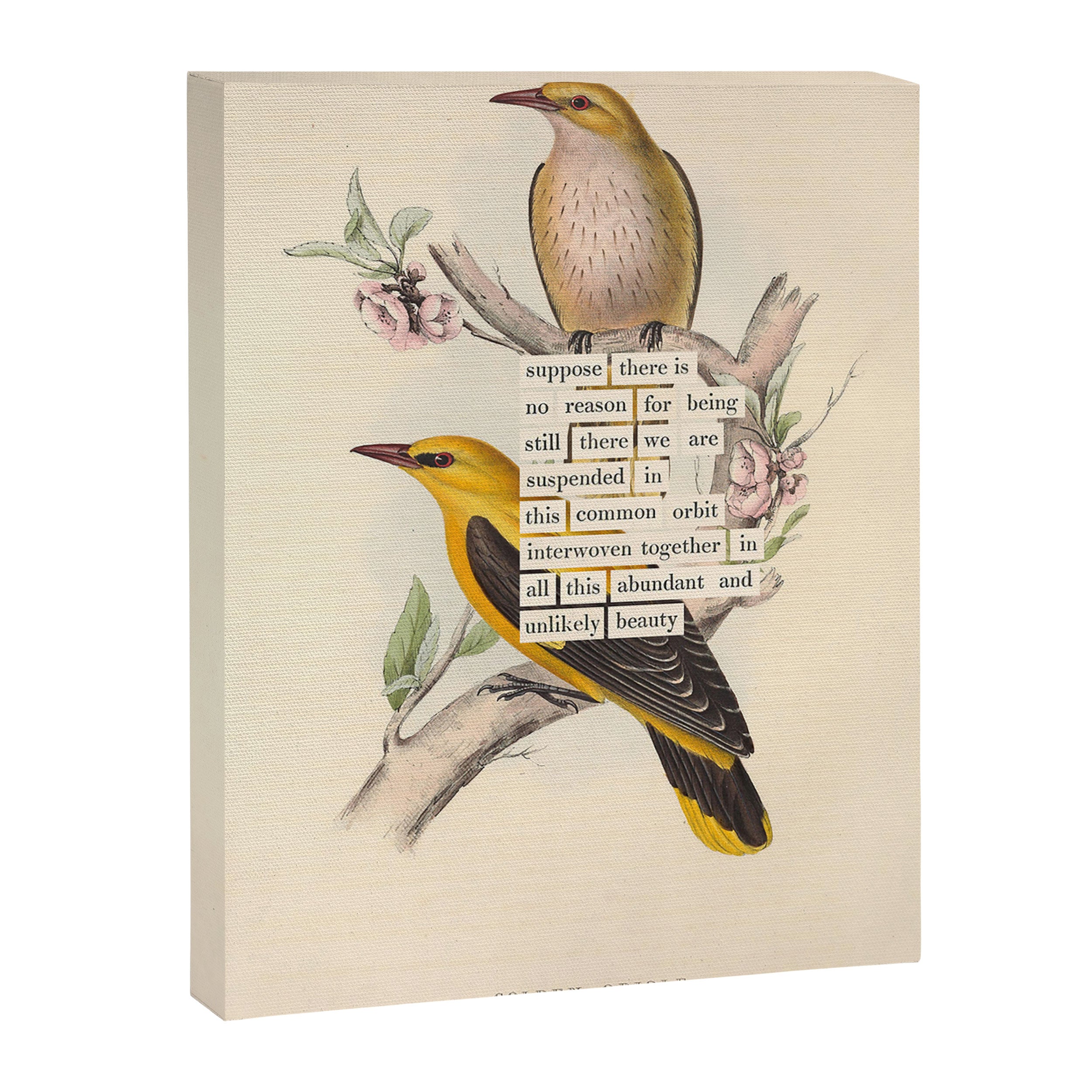 Bird Divinations: Golden Oriole (about: almanacofbirds.org) Canvas Print Gallery Image 6