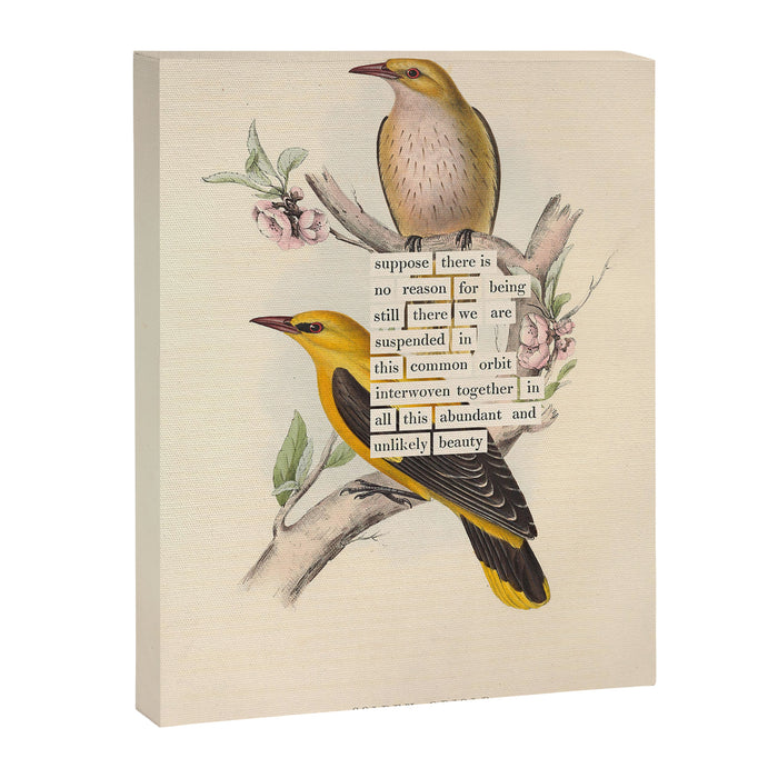 Bird Divinations: Golden Oriole (about: almanacofbirds.org) Canvas Print Gallery Image 1