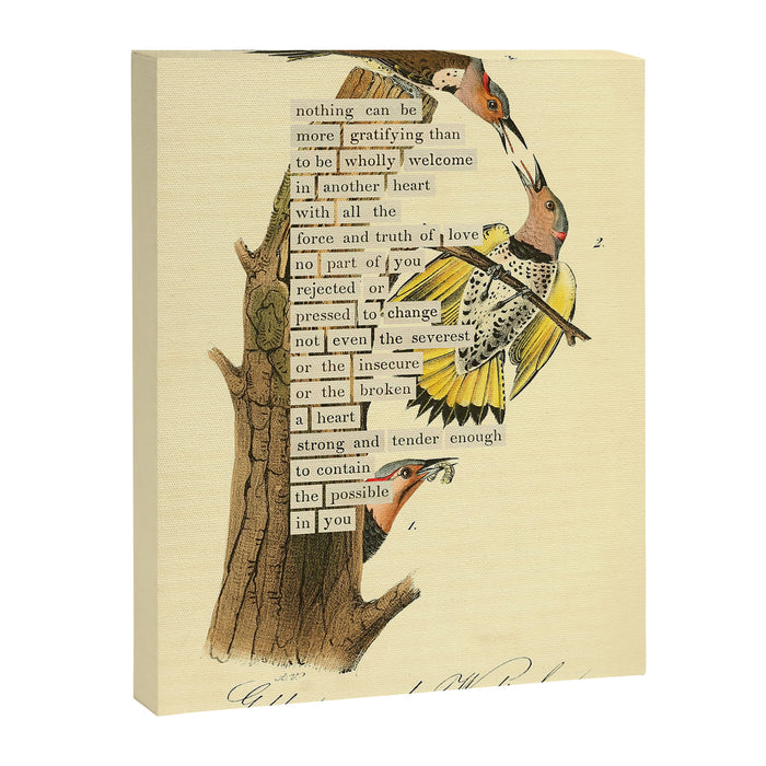 Bird Divinations: Golden-Winged Woodpecker (about: almanacofbirds.org) Canvas Print Gallery Image 1