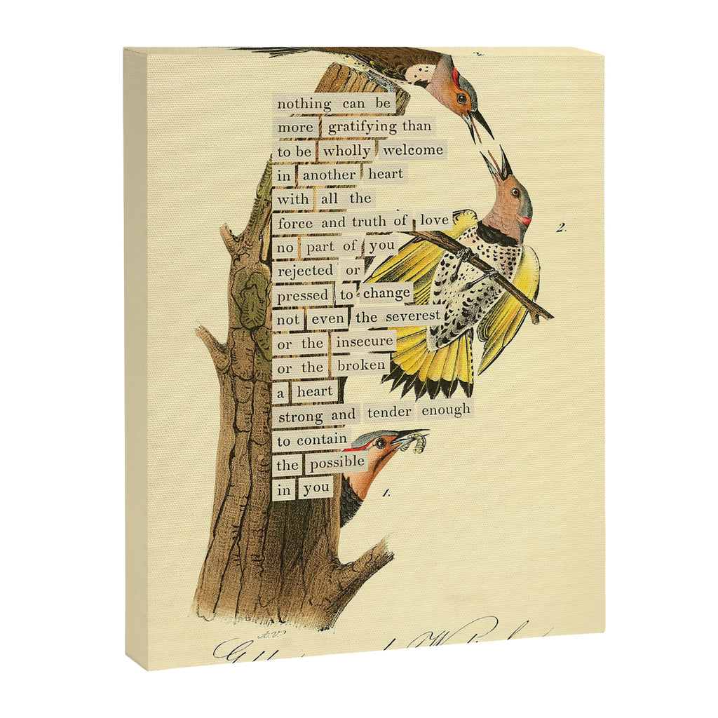 Bird Divinations: Golden-Winged Woodpecker (about: almanacofbirds.org) Canvas Print Gallery Image 6