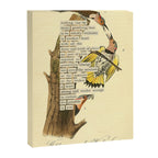 Bird Divinations: Golden-Winged Woodpecker (about: almanacofbirds.org) Canvas Print Gallery Image 6