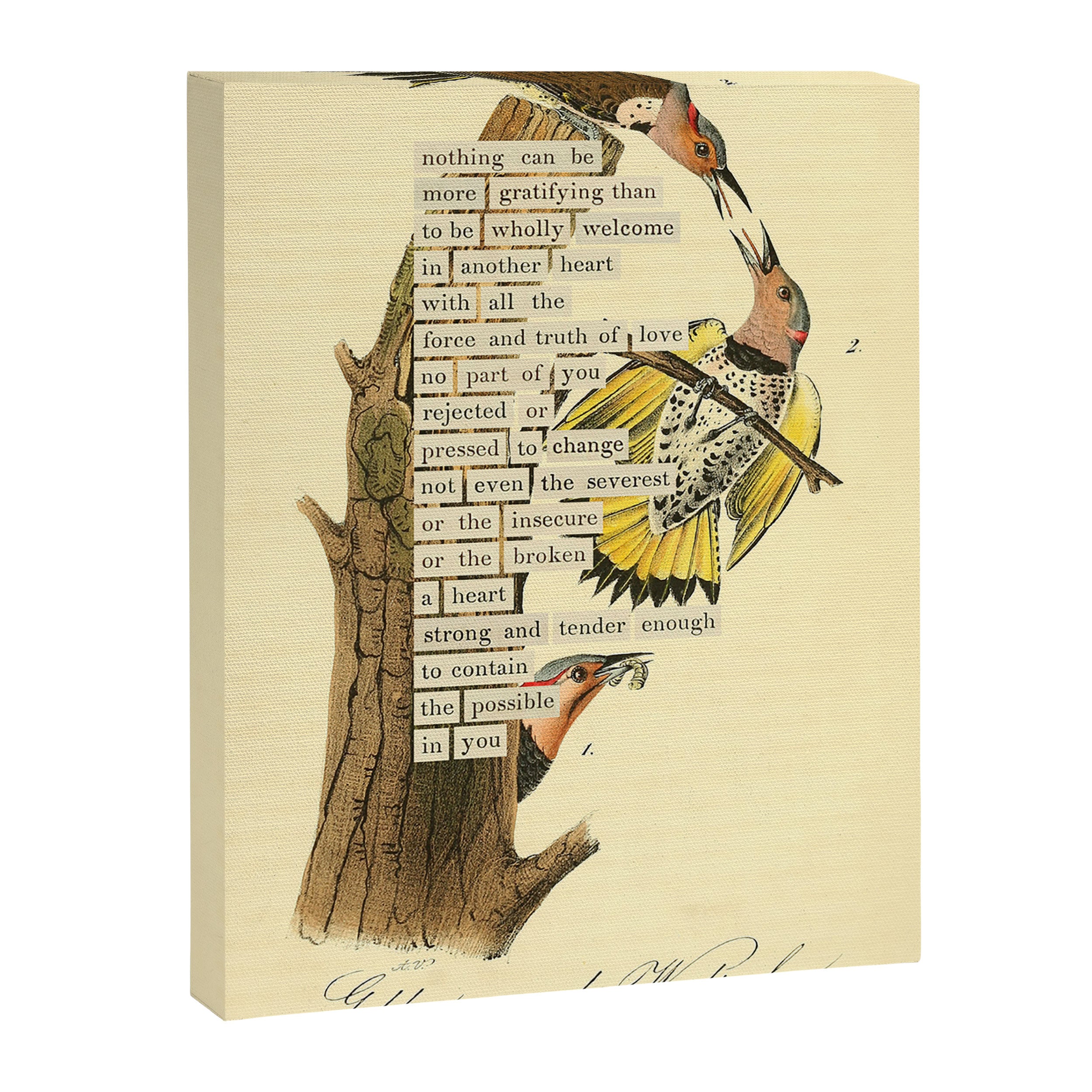 Bird Divinations: Golden-Winged Woodpecker (about: almanacofbirds.org) Canvas Print Gallery Image 6