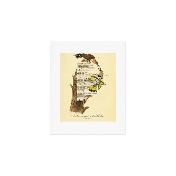 Bird Divinations: Golden-Winged Woodpecker (about: almanacofbirds.org) Art Print Gallery Image 1