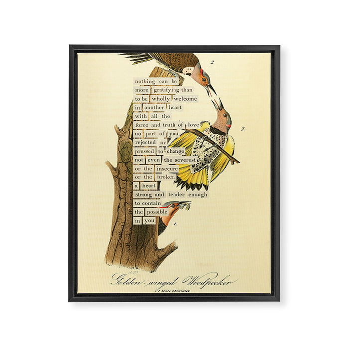 Bird Divinations: Golden-Winged Woodpecker (about: almanacofbirds.org) Framed Canvas Print Gallery Image 1