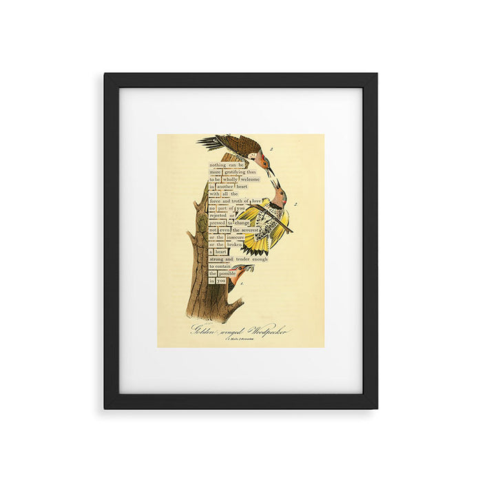 Bird Divinations: Golden-Winged Woodpecker (about: almanacofbirds.org) Framed Art Print Gallery Image 1