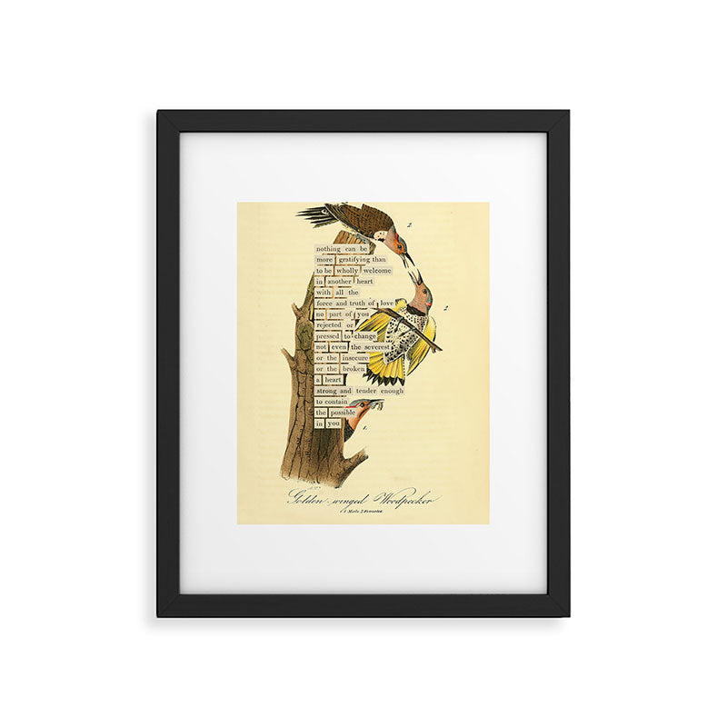Bird Divinations: Golden-Winged Woodpecker (about: almanacofbirds.org) Framed Art Print Gallery Image 5