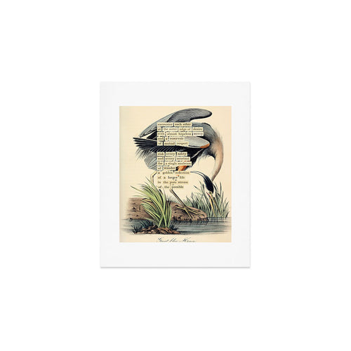 Bird Divinations: Great Blue Heron (About: Almanacofbirds.Org) Art Print