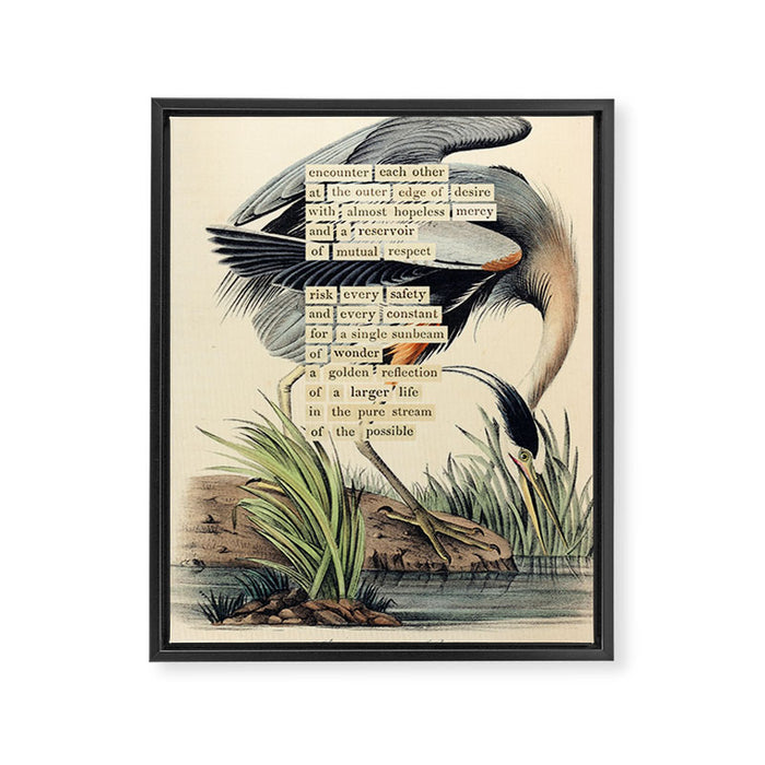 Bird Divinations: Great Blue Heron (about: almanacofbirds.org) Framed Canvas Print Gallery Image 1