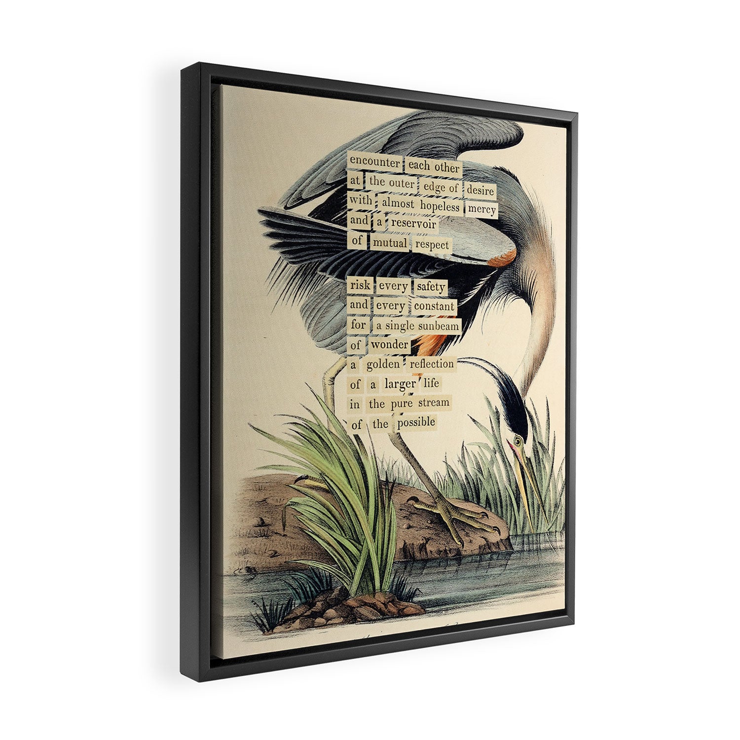 Bird Divinations: Great Blue Heron (about: almanacofbirds.org) Framed Canvas Print Gallery Image 2