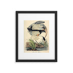 Bird Divinations: Great Blue Heron (about: almanacofbirds.org) Framed Art Print Gallery Image 5