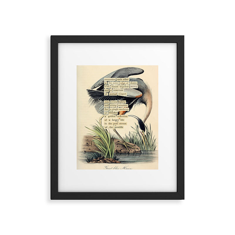 Bird Divinations: Great Blue Heron (about: almanacofbirds.org) Framed Art Print Gallery Image 4