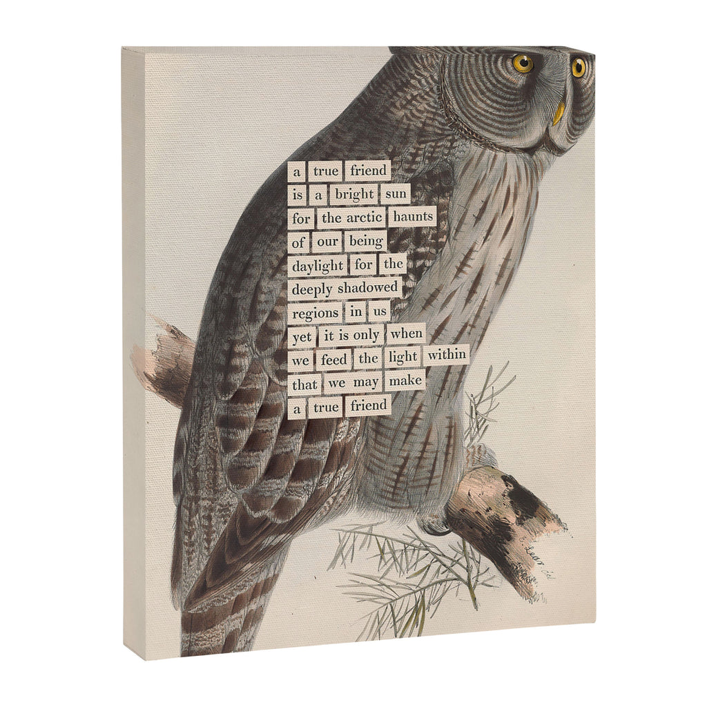 Bird Divinations: Great Cinereous Owl (about: almanacofbirds.org) Canvas Print Gallery Image 6