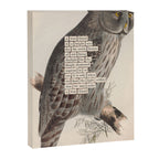 Bird Divinations: Great Cinereous Owl (about: almanacofbirds.org) Canvas Print Gallery Image 6