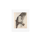 Bird Divinations: Great Cinereous Owl (about: almanacofbirds.org) Art Print Gallery Image 1