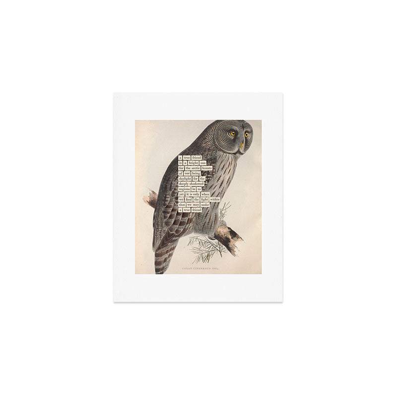 Bird Divinations: Great Cinereous Owl (about: almanacofbirds.org) Art Print Gallery Image 1