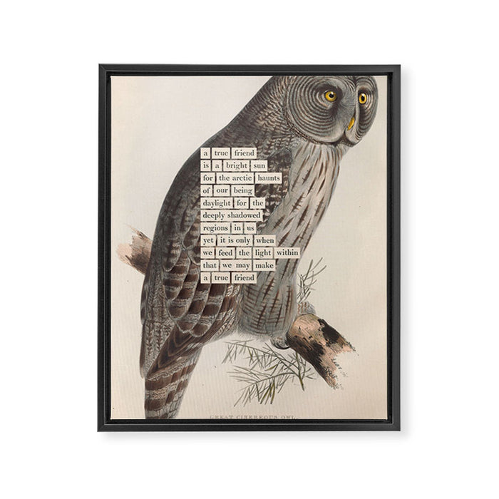 Bird Divinations: Great Cinereous Owl (about: almanacofbirds.org) Framed Canvas Print Gallery Image 1