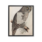 Bird Divinations: Great Cinereous Owl (about: almanacofbirds.org) Framed Canvas Print Gallery Image 6