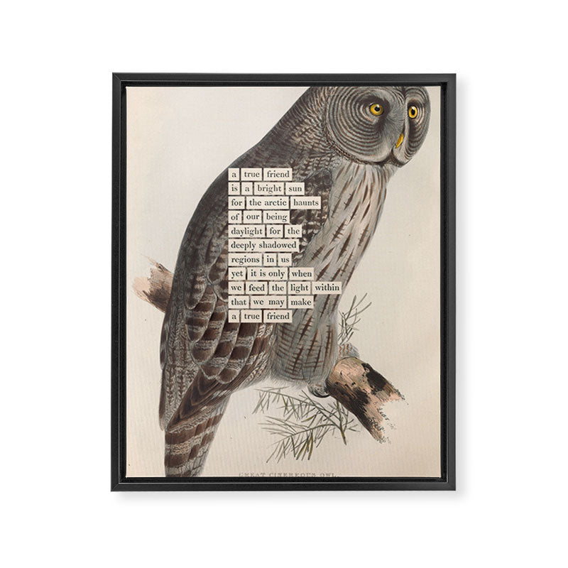 Bird Divinations: Great Cinereous Owl (about: almanacofbirds.org) Framed Canvas Print Gallery Image 6