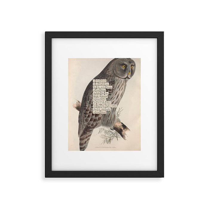 Bird Divinations: Great Cinereous Owl (about: almanacofbirds.org) Framed Art Print Gallery Image 1