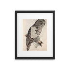 Bird Divinations: Great Cinereous Owl (about: almanacofbirds.org) Framed Art Print Gallery Image 5