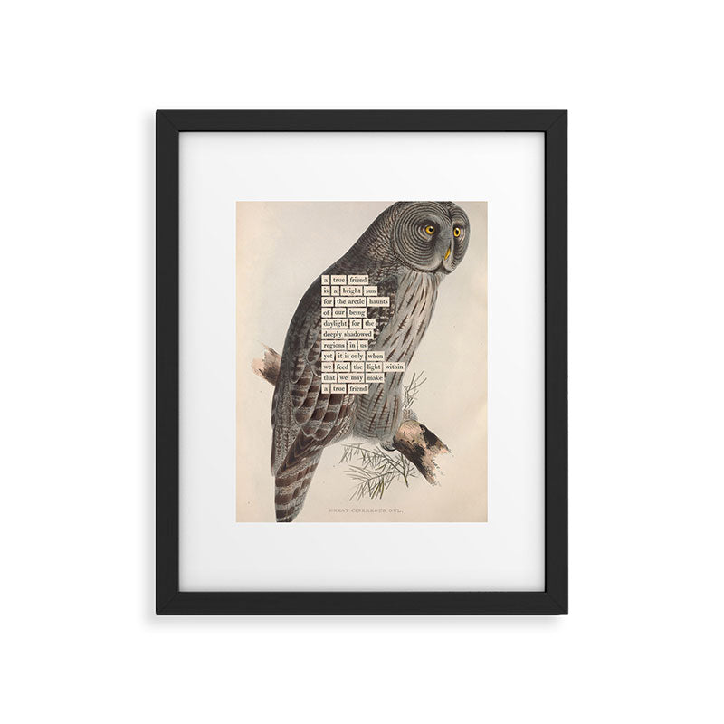 Bird Divinations: Great Cinereous Owl (about: almanacofbirds.org) Framed Art Print Gallery Image 5
