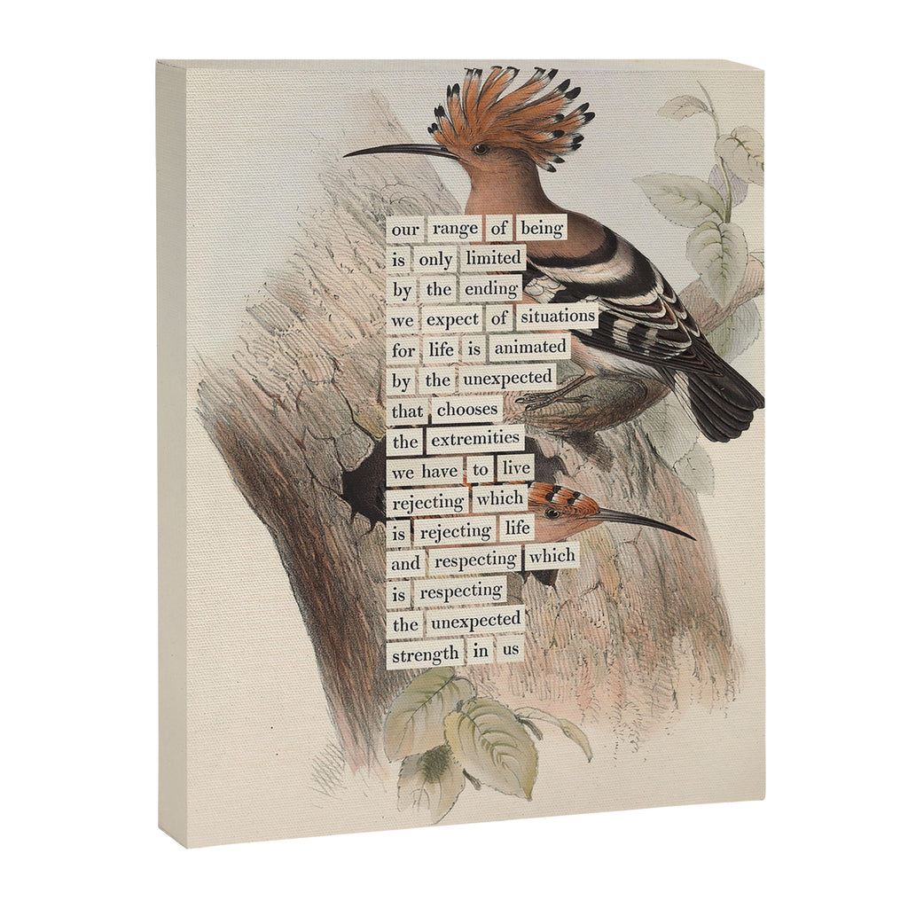 Bird Divinations: Hoopoe (about: almanacofbirds.org) Canvas Print Gallery Image 6