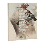 Bird Divinations: Hoopoe (about: almanacofbirds.org) Canvas Print Gallery Image 6