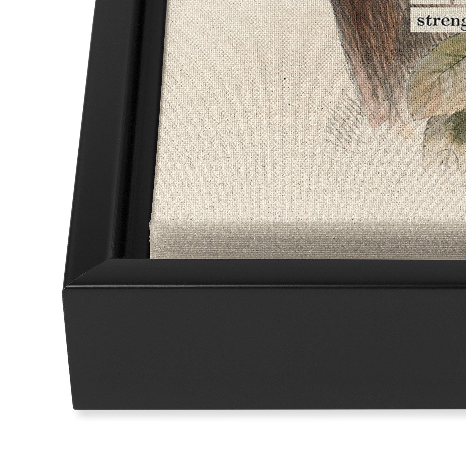 Bird Divinations: Hoopoe (about: almanacofbirds.org) Framed Canvas Print Gallery Image 3