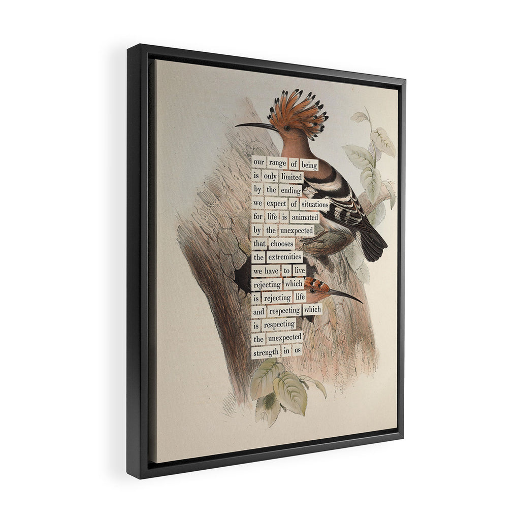 Bird Divinations: Hoopoe (about: almanacofbirds.org) Framed Canvas Print Gallery Image 2