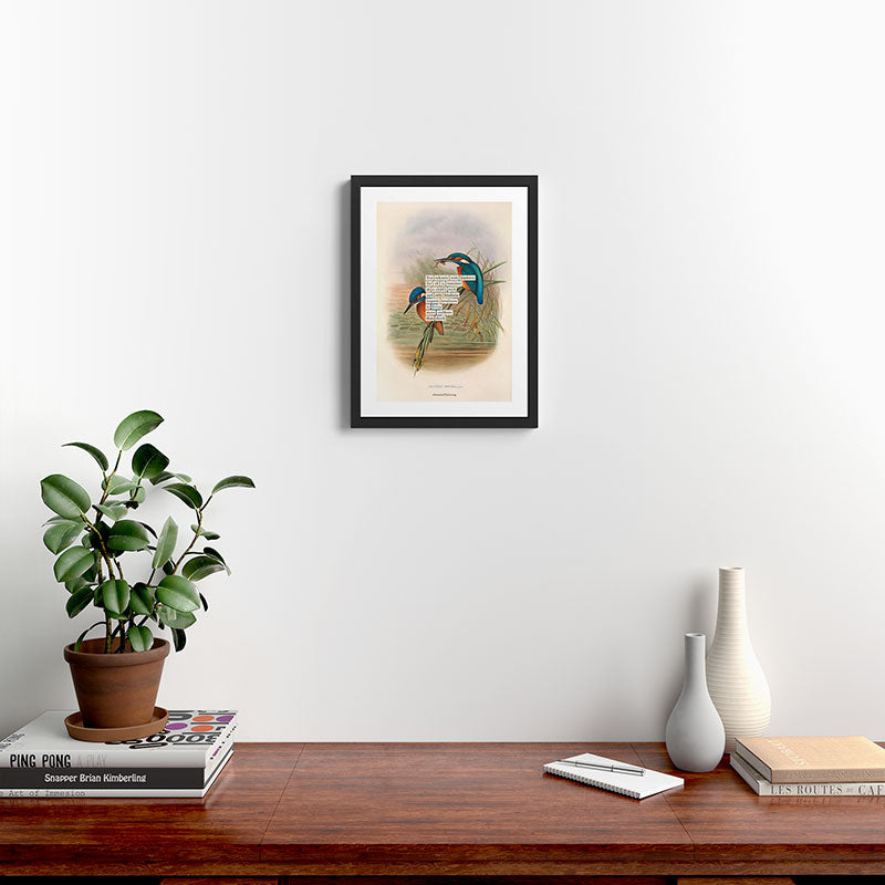 Bird Divinations: Kingfisher (about: almanacofbirds.org) Framed Art Print Gallery Image 2