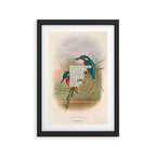 Bird Divinations: Kingfisher (about: almanacofbirds.org) Framed Art Print Gallery Image 2