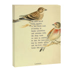 Bird Divinations: Linnet (about: almanacofbirds.org) Canvas Print Gallery Image 6